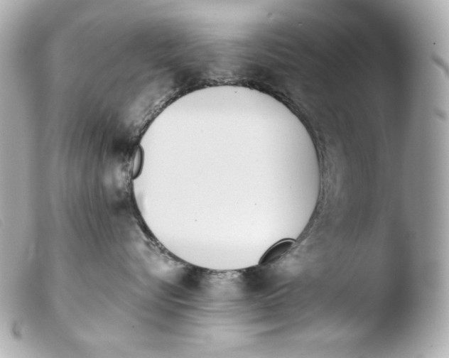 X0000103490576200810101025