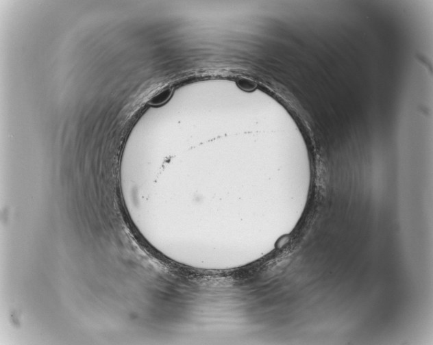 X0000103490577200810101025