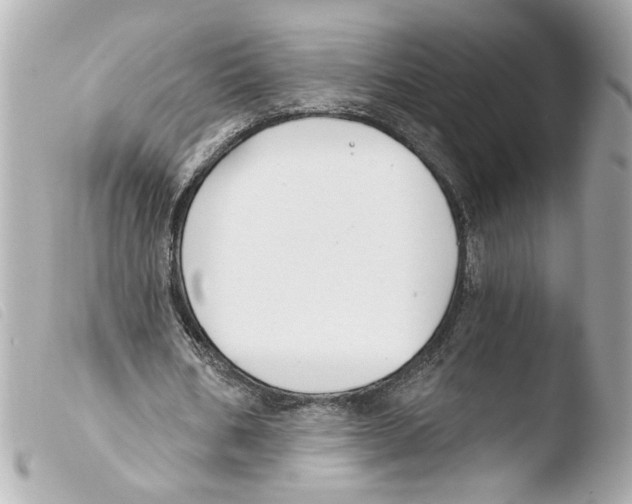 X0000103490578200810101025