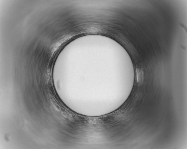 X0000103490579200810101025