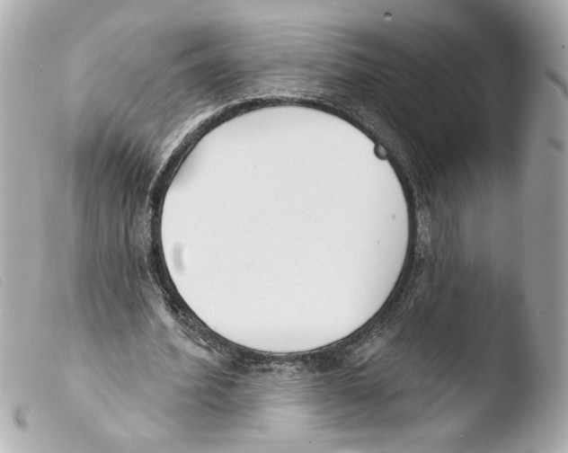 X0000103490580200810101025