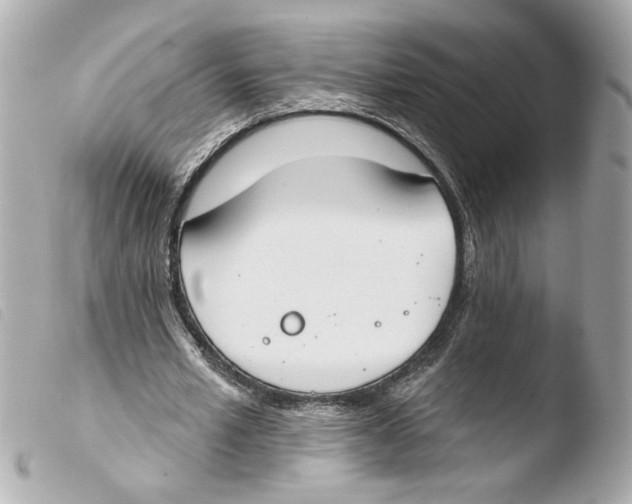 X0000103490581200810101025