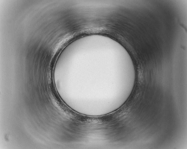 X0000103490582200810101025