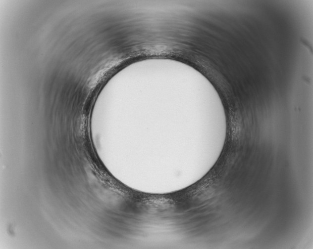 X0000103490583200810101025