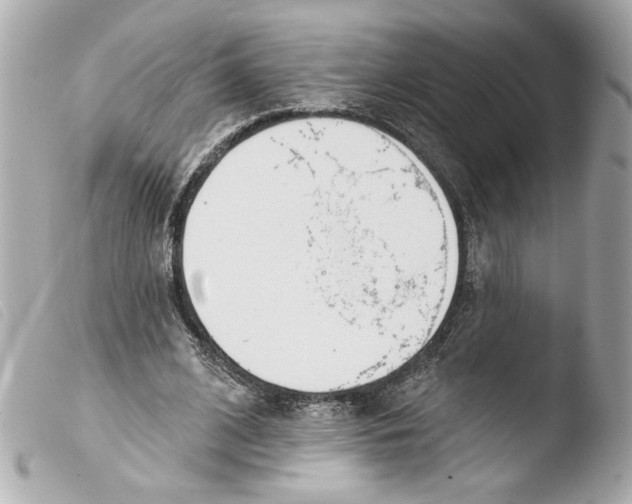 X0000103490584200810101025