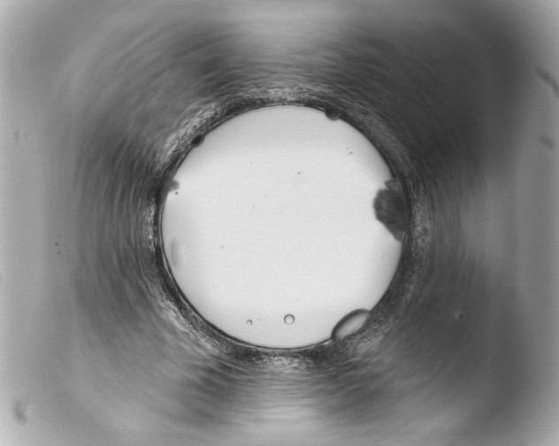 X0000103490585200810101025