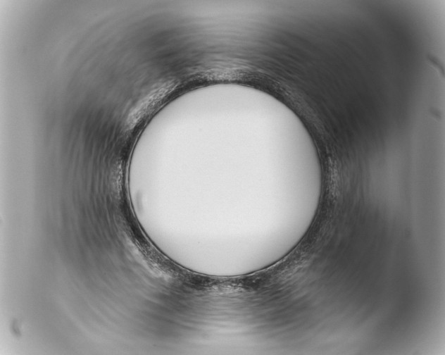 X0000103490586200810101024