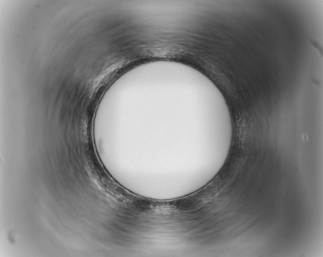 X0000103490587200810101024