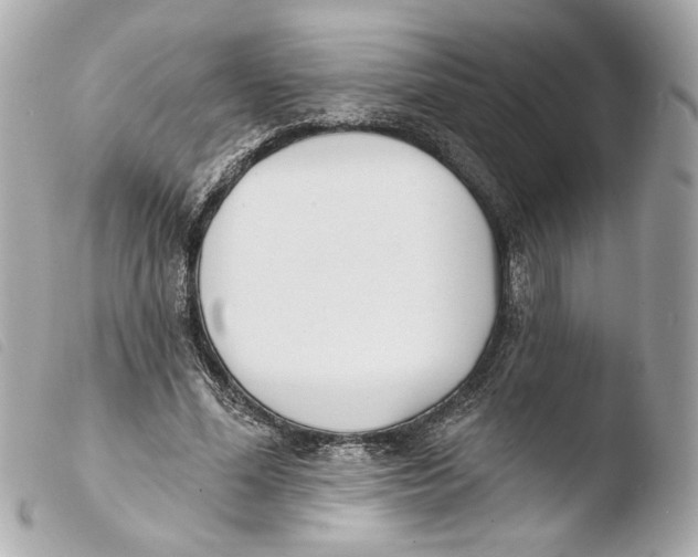 X0000103490588200810101024
