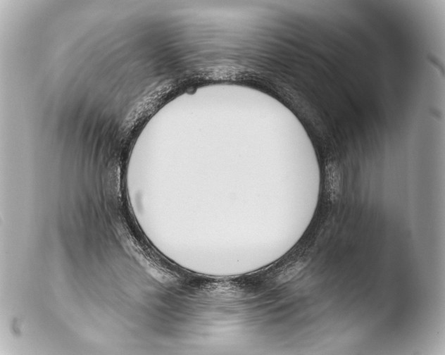 X0000103490589200810101024