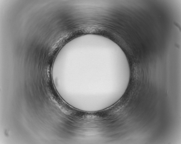 X0000103490590200810101024
