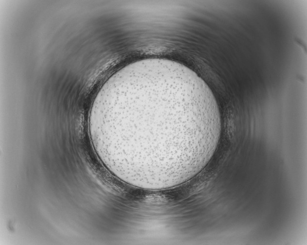 X0000103490591200810101024