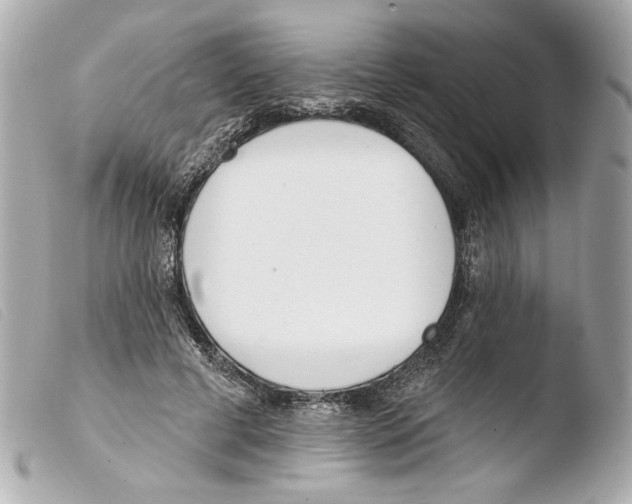 X0000103490593200810101024