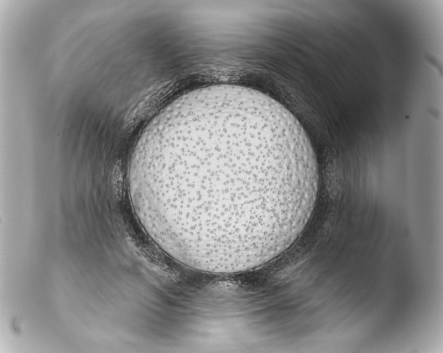 X0000103490594200810101024