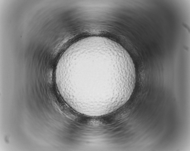 X0000103490596200810101024