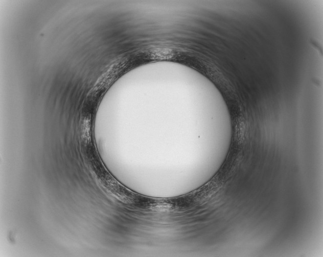 X0000103490598200810101024