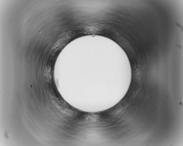 X0000103490599200810101024