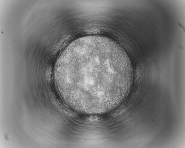 X0000103490600200810101024
