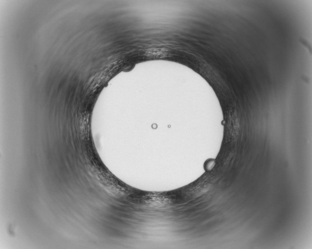 X0000103490601200810101024
