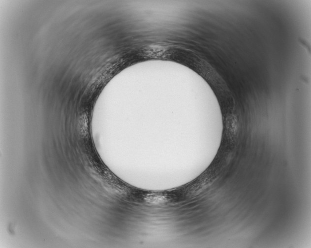 X0000103490602200810101024