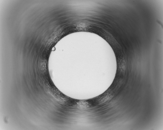 X0000103490603200810101024