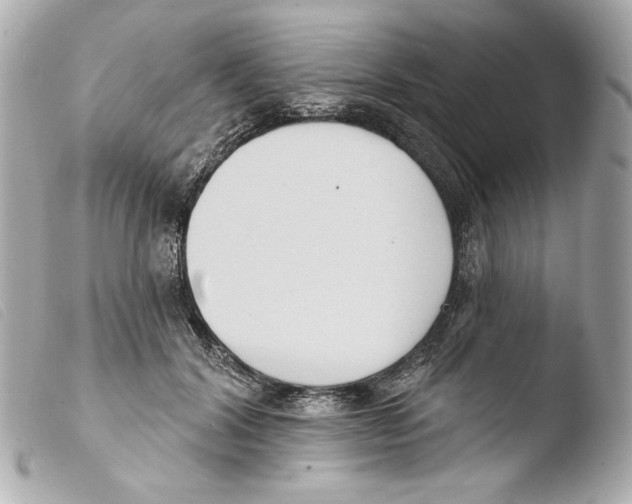 X0000103490604200810101024