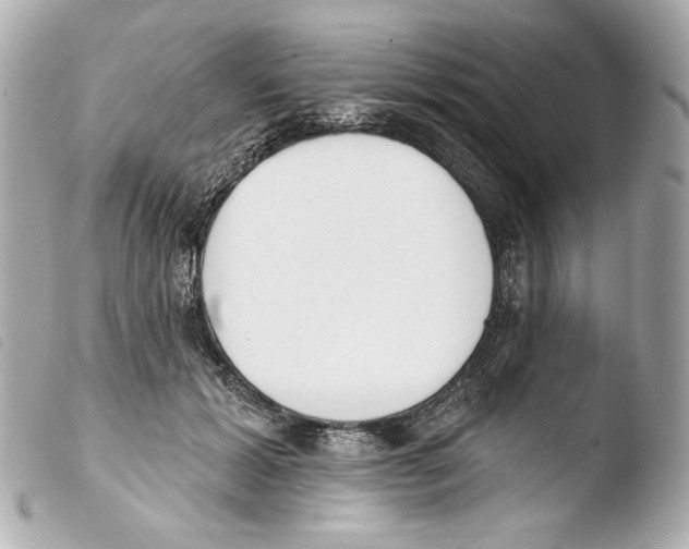 X0000103490605200810101024