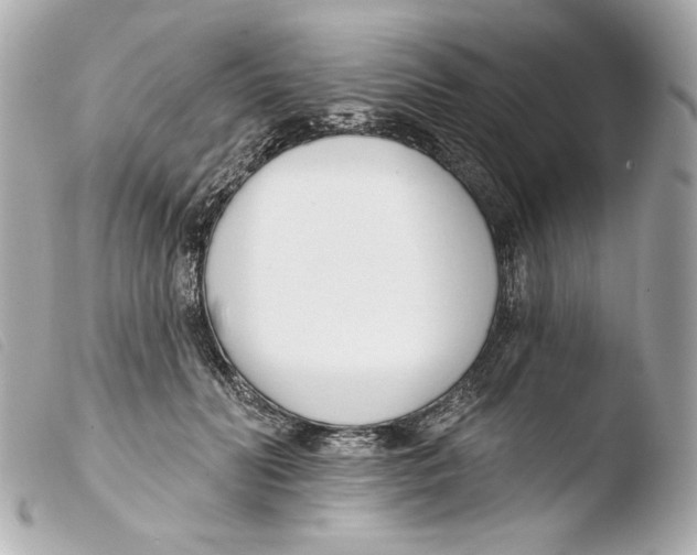 X0000103490606200810101024