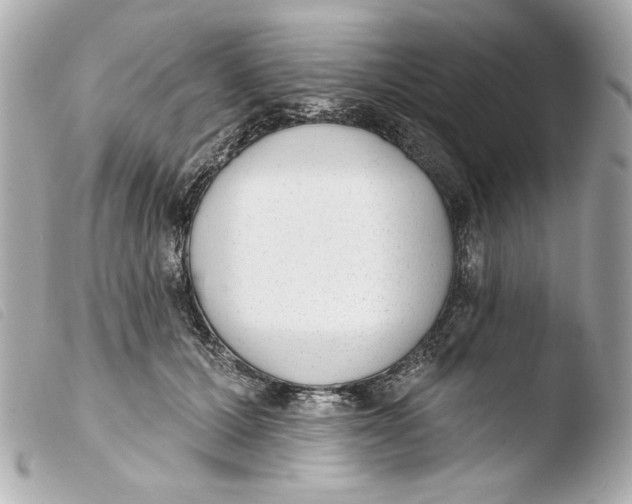 X0000103490607200810101024