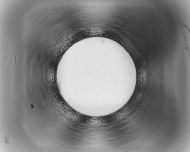 X0000103490608200810101024