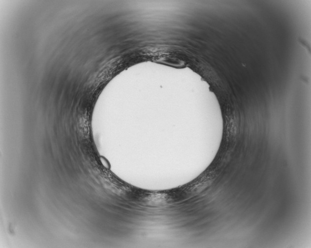 X0000103490609200810101024