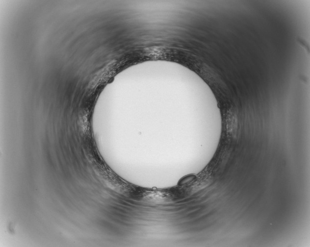 X0000103490611200810101024