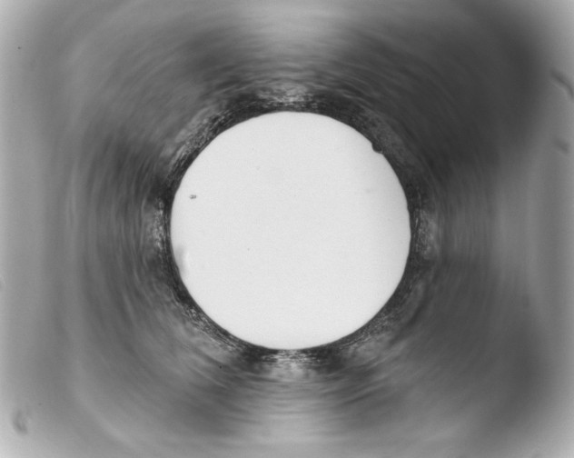 X0000103490612200810101024