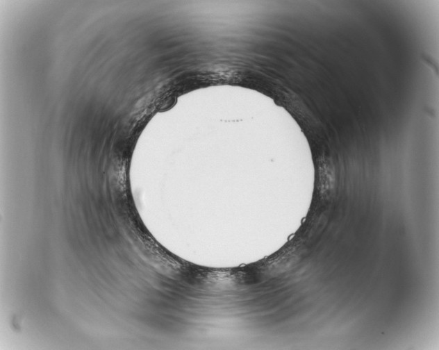 X0000103490613200810101024