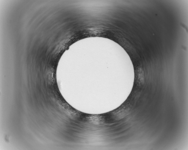 X0000103490615200810101024