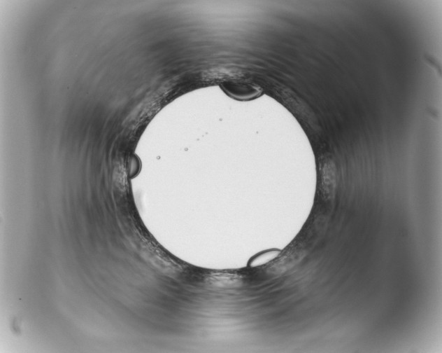X0000103490617200810101024