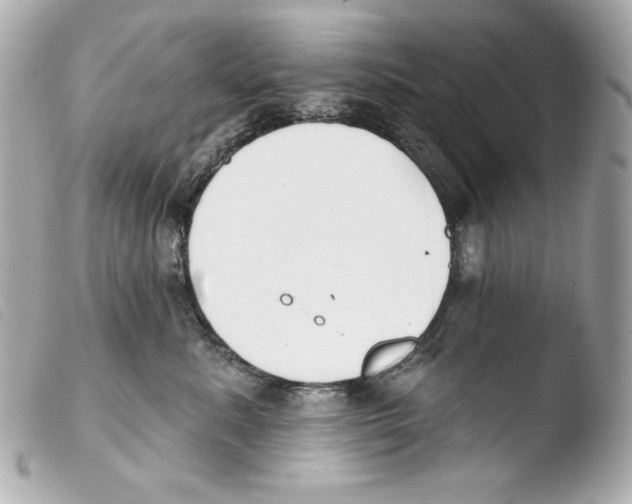 X0000103490619200810101024