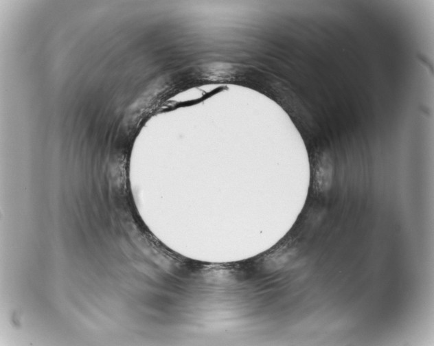 X0000103490620200810101024
