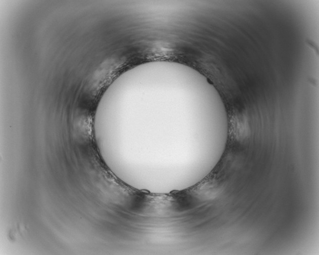 X0000103490621200810101024
