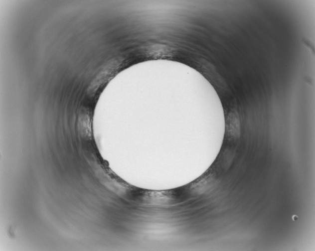 X0000103490622200810101024