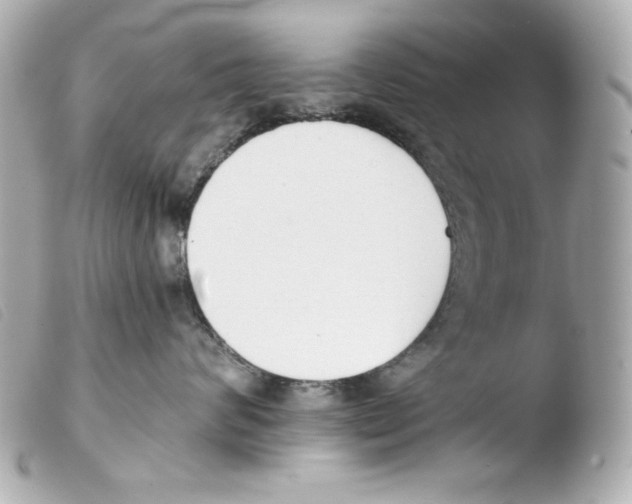 X0000103490624200810101024