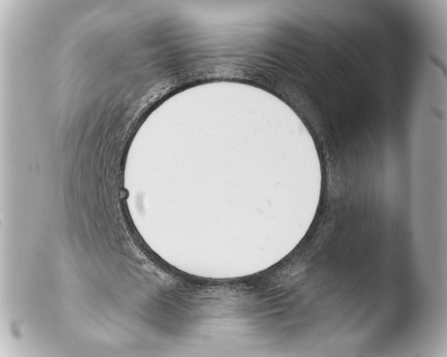X0000103490625200810101023