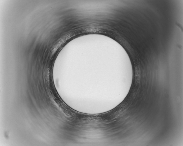 X0000103490626200810101023
