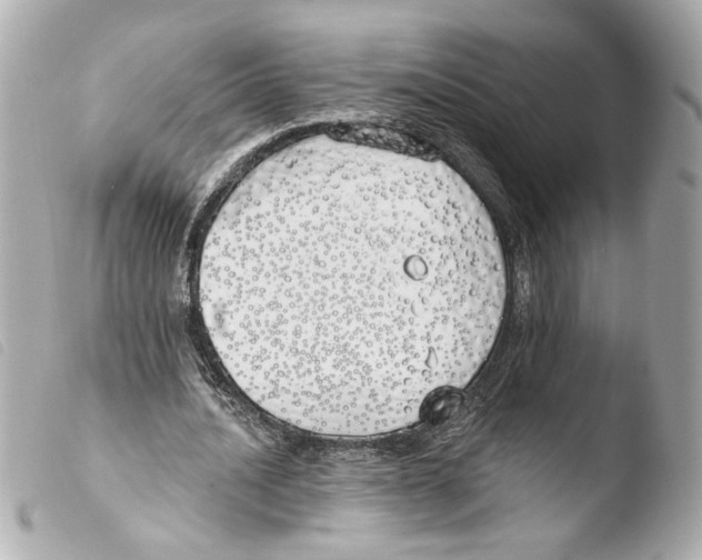 X0000103490628200810101023