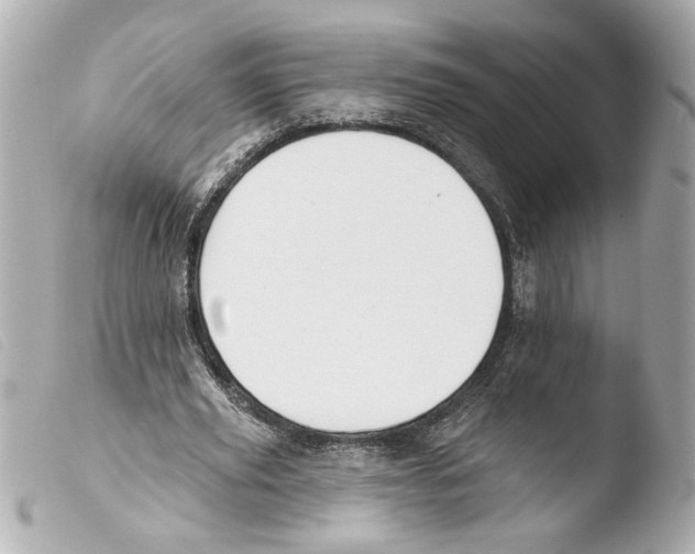 X0000103490629200810101023