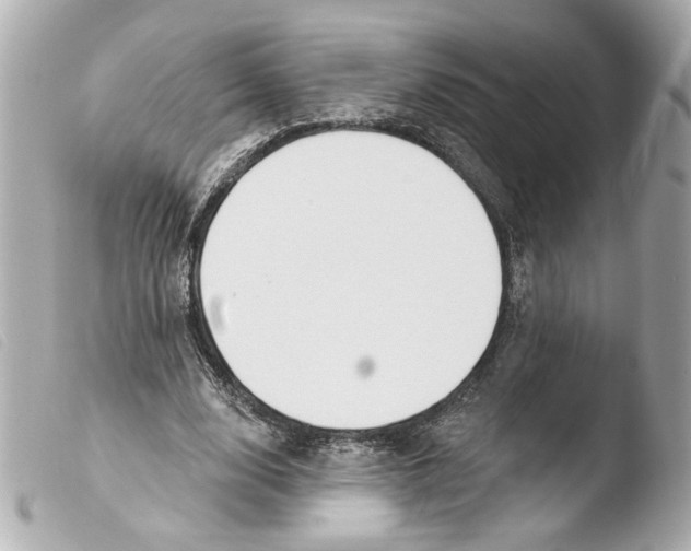 X0000103490632200810101023
