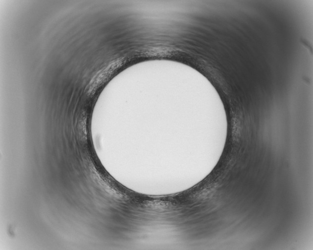 X0000103490633200810101023