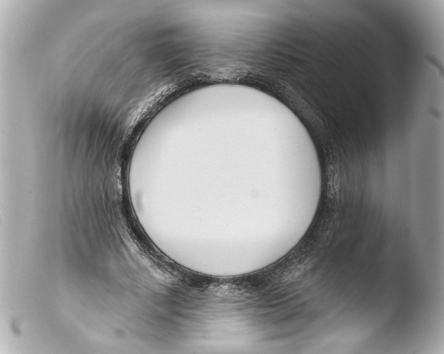 X0000103490634200810101023