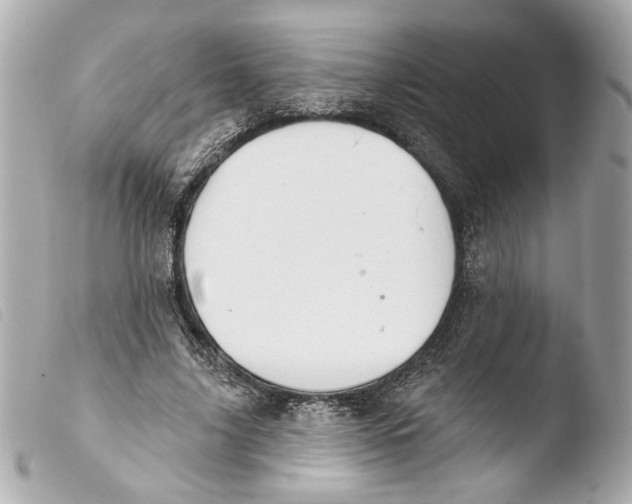 X0000103490635200810101023
