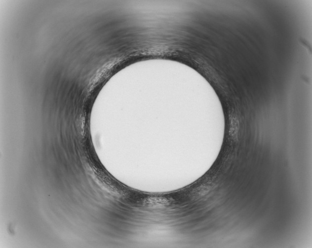 X0000103490636200810101023